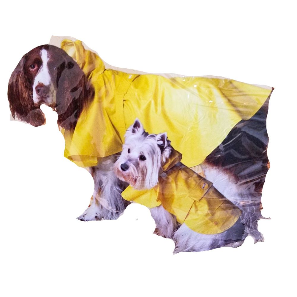 Dickens’ Closet Yellow Puddle Rain for Dogs Size L (20” – 24”)